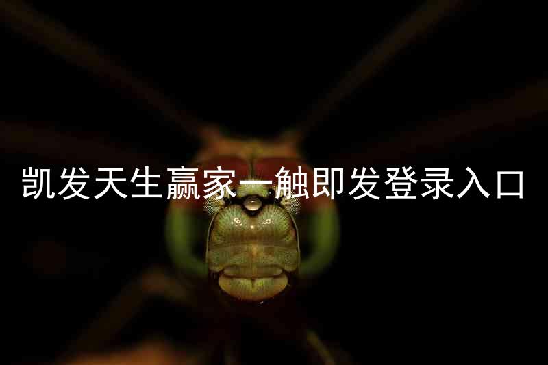 凯发天生赢家一触即发登录入口