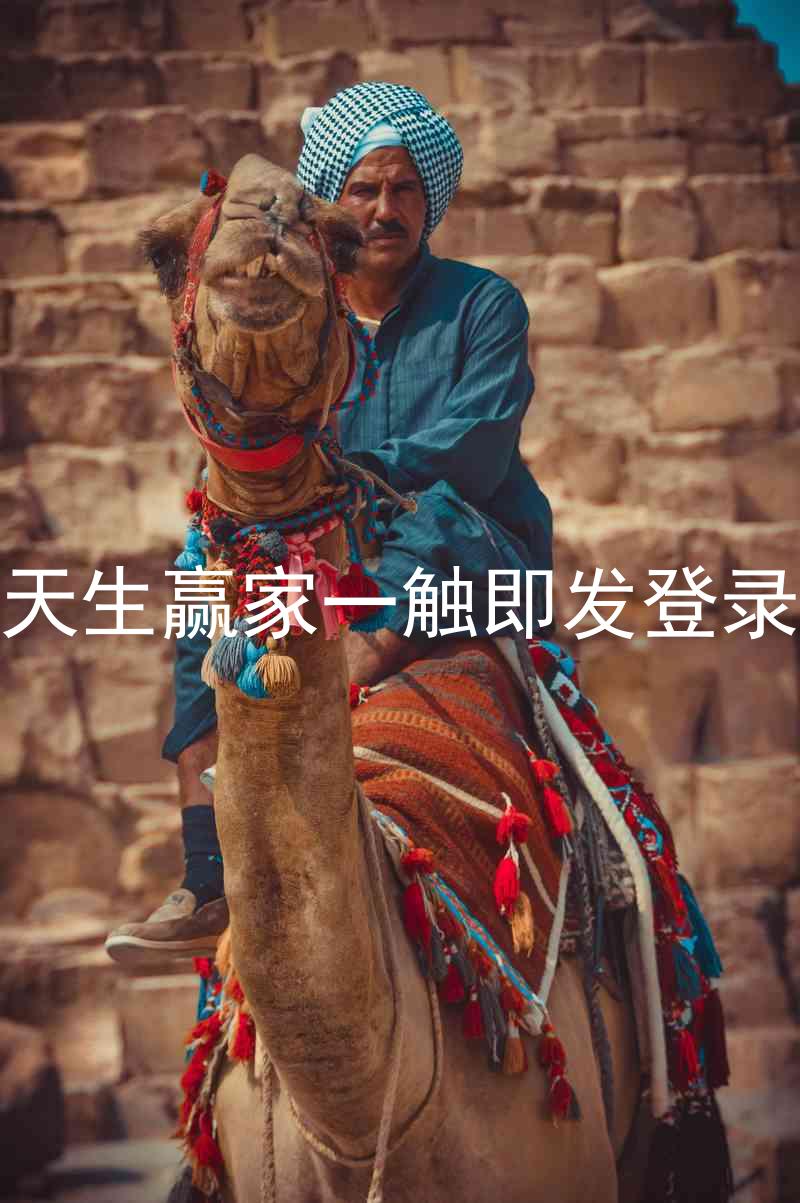凯发天生赢家一触即发登录入口